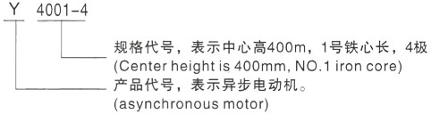 西安泰富西玛Y系列(H355-1000)高压YKS5602-4/1800KW三相异步电机型号说明